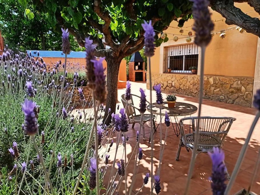 Mas Del Vent- Barbacoa, Jardin, Piscina Privada Y Vistas A Mar Villa Cunit Buitenkant foto